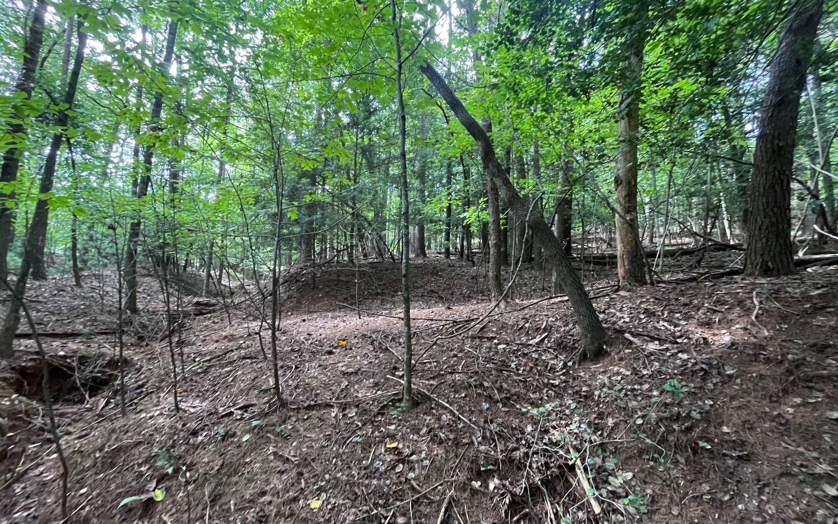 LT 88 Shenandoah Drive, Ellijay GA 30540 - Photo