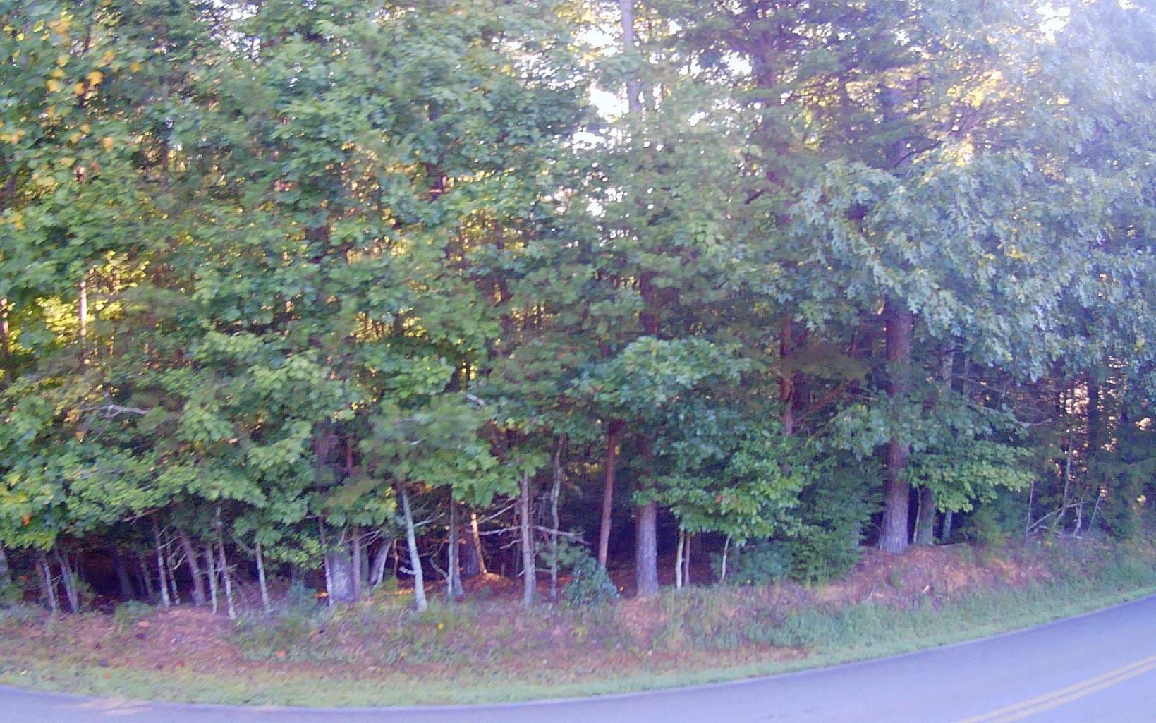 LT 88 Shenandoah Drive, Ellijay GA 30540 - Photo