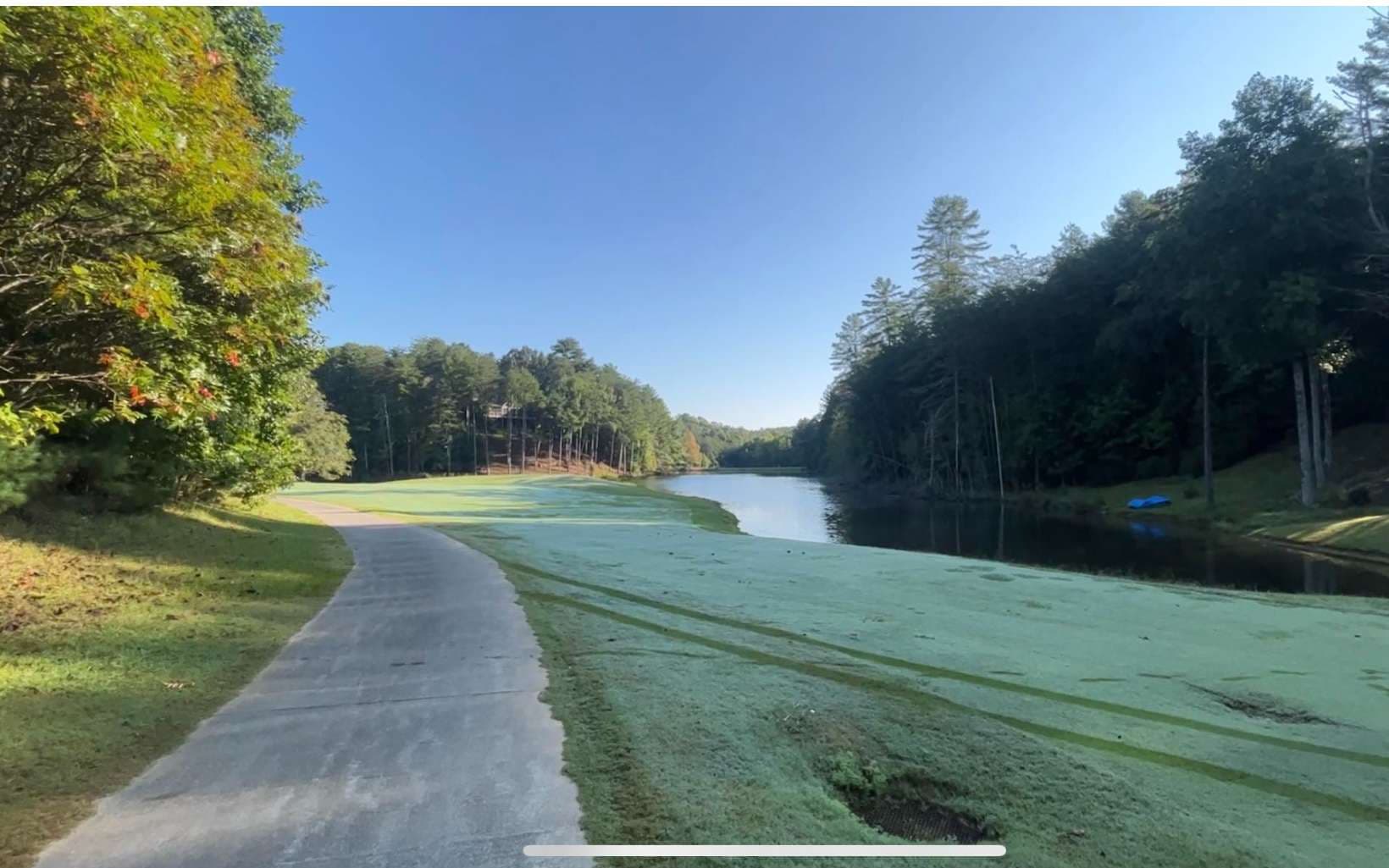 LT 88 Shenandoah Drive, Ellijay GA 30540 - Photo