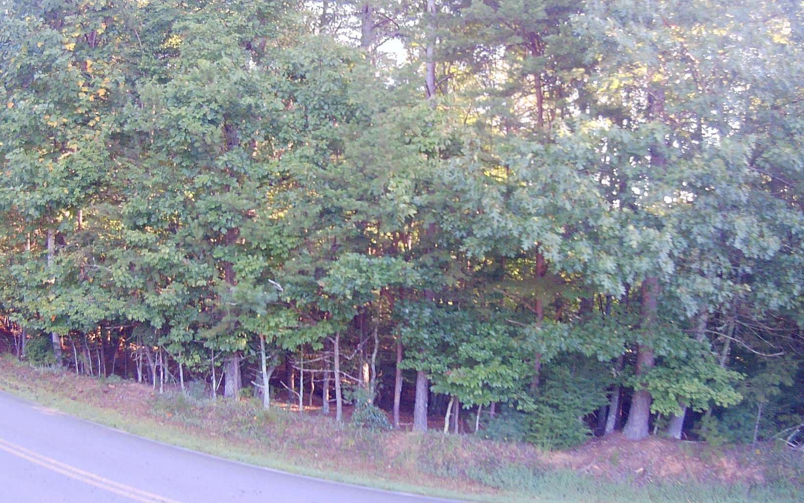 LT 88 Shenandoah Drive, Ellijay GA 30540 - Photo