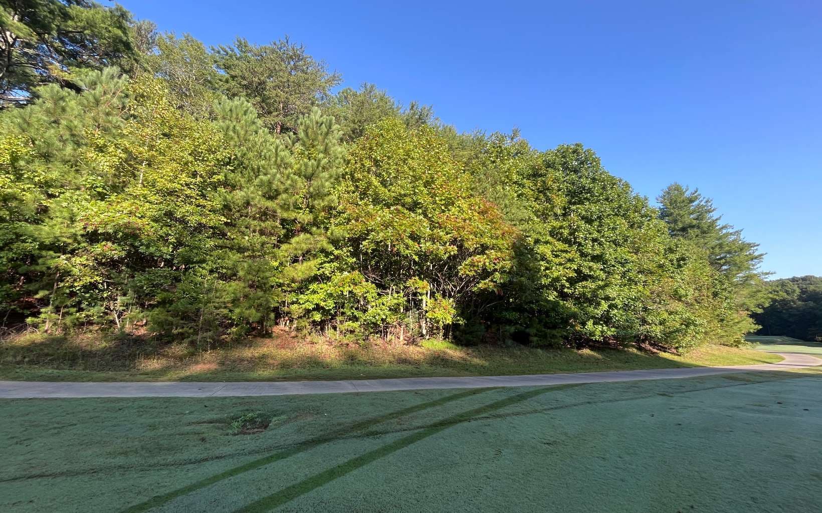 LT 88 Shenandoah Drive, Ellijay GA 30540 - Photo