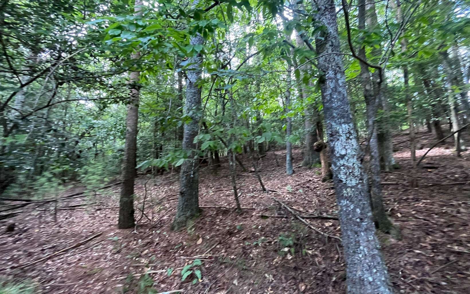 LT 88 Shenandoah Drive, Ellijay GA 30540 - Photo