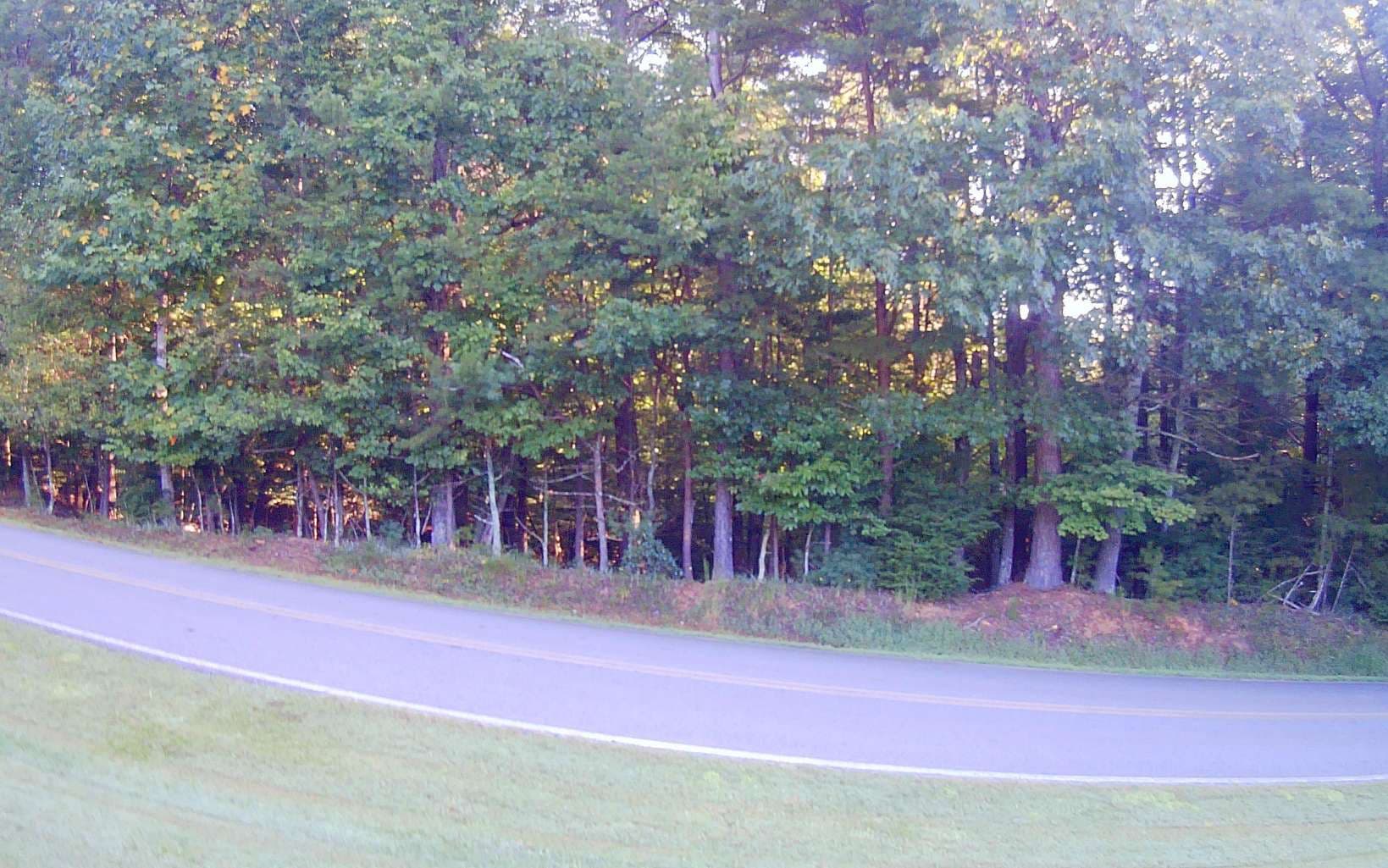 LT 88 Shenandoah Drive, Ellijay GA 30540 - Photo