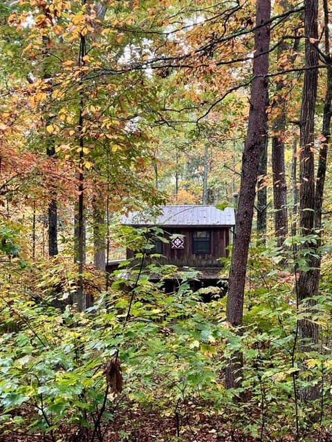 224 Pine Bough Road, Murphy NC 28906 - Photo