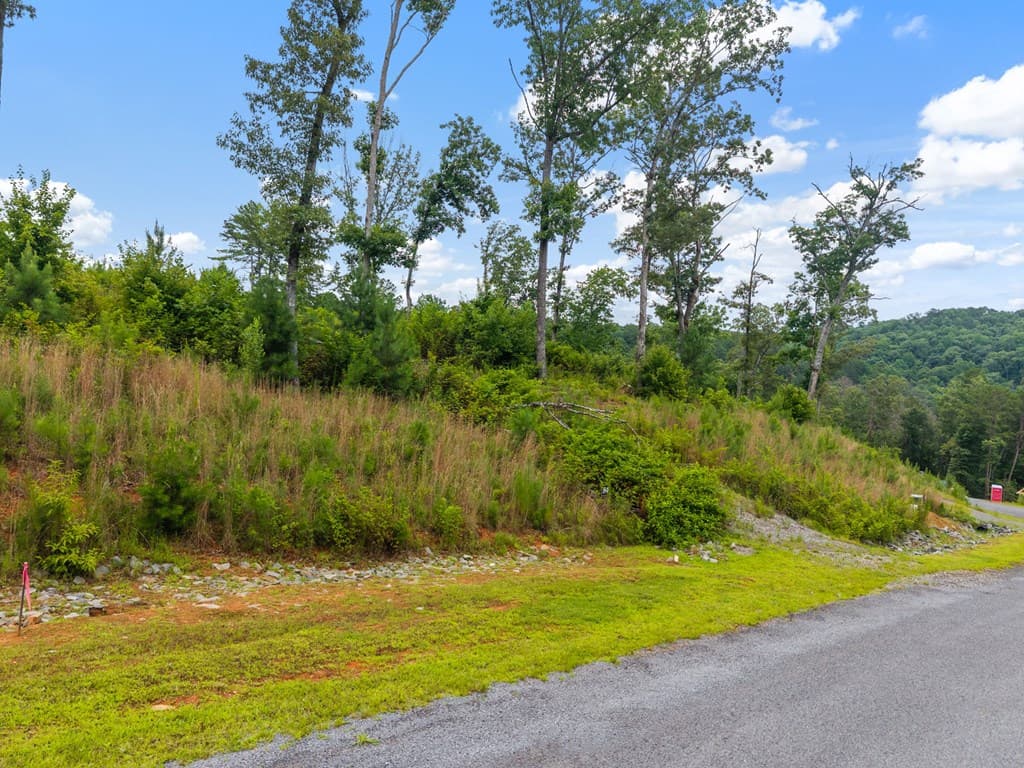 Lot 84 Jakes Landing Way, Ellijay GA 30540 - Photo