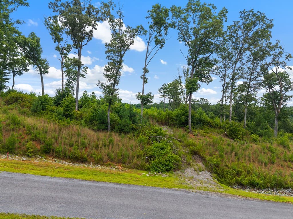 Lot 84 Jakes Landing Way, Ellijay GA 30540 - Photo