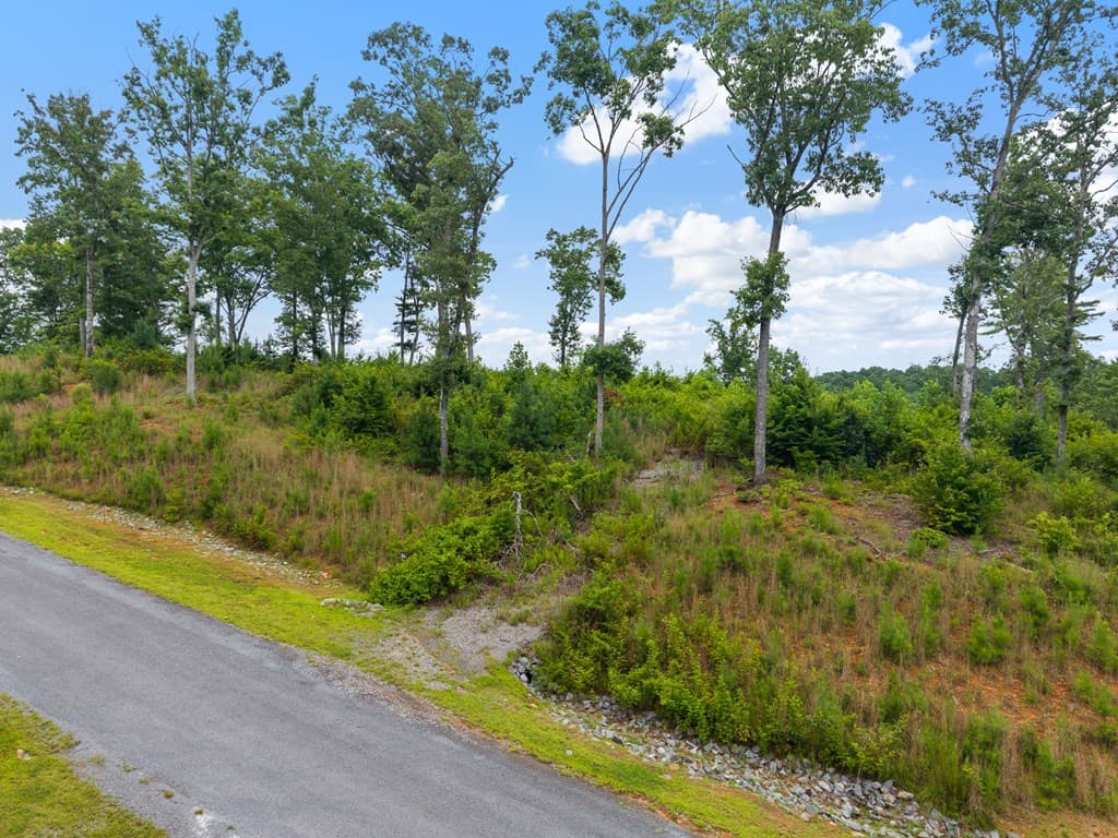 Lot 84 Jakes Landing Way, Ellijay GA 30540 - Photo