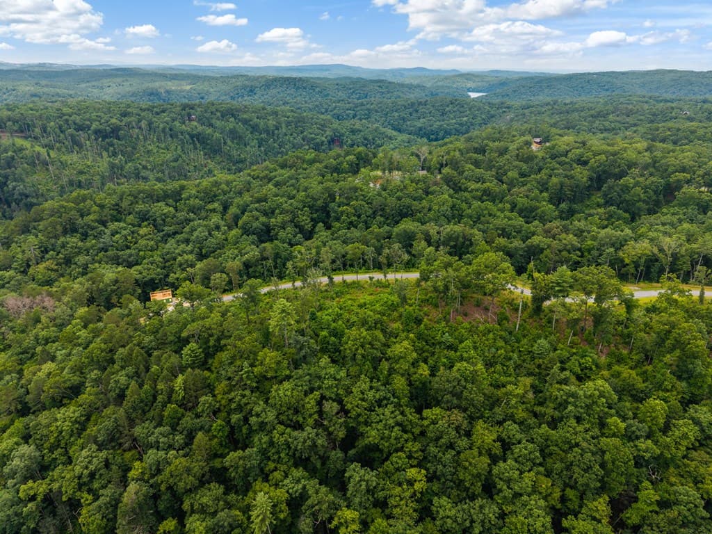 Lot 84 Jakes Landing Way, Ellijay GA 30540 - Photo