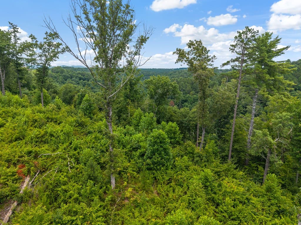 Lot 84 Jakes Landing Way, Ellijay GA 30540 - Photo