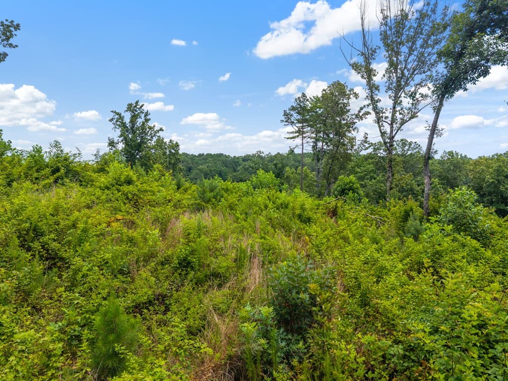Lot 84 Jakes Landing Way, Ellijay GA 30540 - Photo