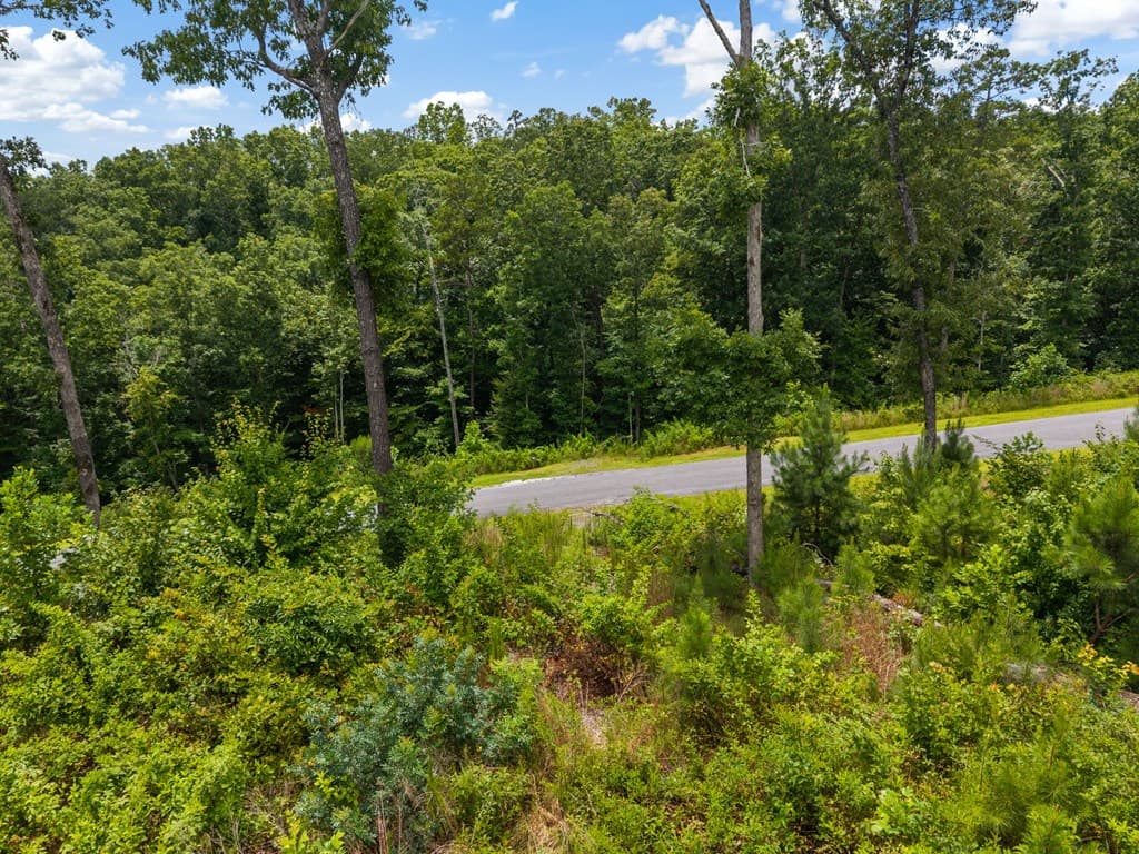 Lot 84 Jakes Landing Way, Ellijay GA 30540 - Photo