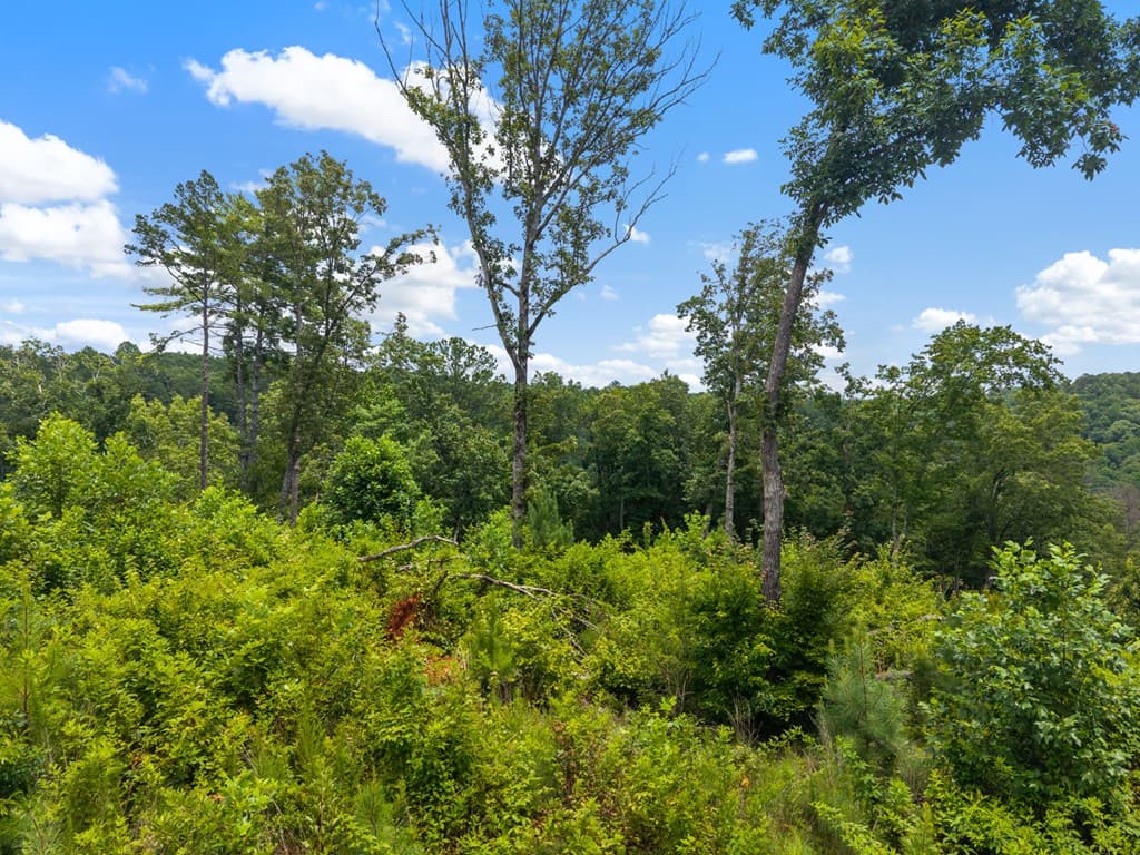 Lot 84 Jakes Landing Way, Ellijay GA 30540 - Photo