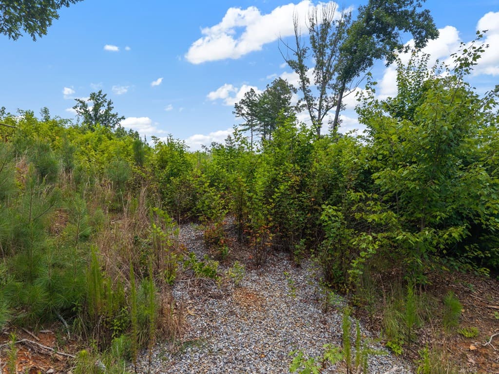 Lot 84 Jakes Landing Way, Ellijay GA 30540 - Photo