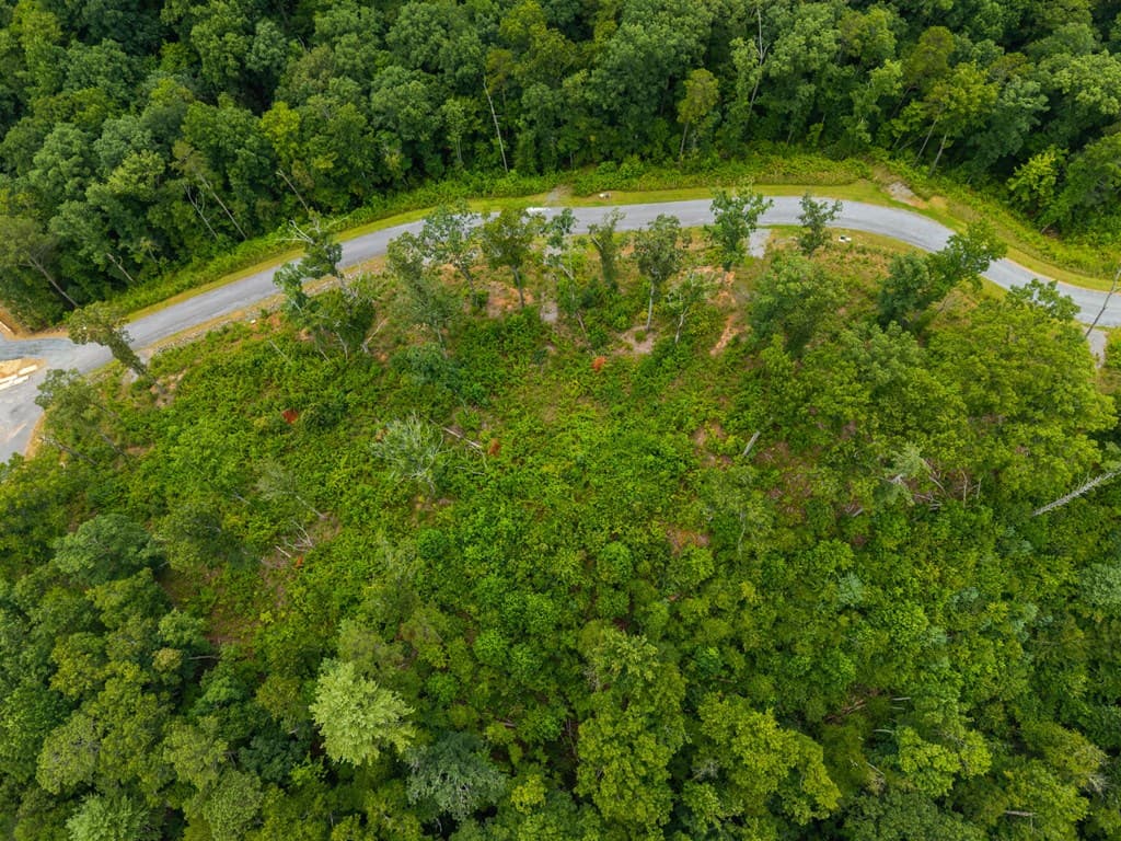 Lot 84 Jakes Landing Way, Ellijay GA 30540 - Photo