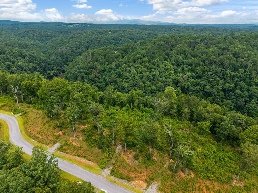 Lot 84 Jakes Landing Way, Ellijay GA 30540 - Photo