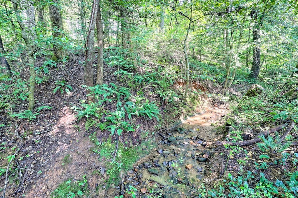 641 Cold Branch Road, Hayesville NC 28904 - Photo