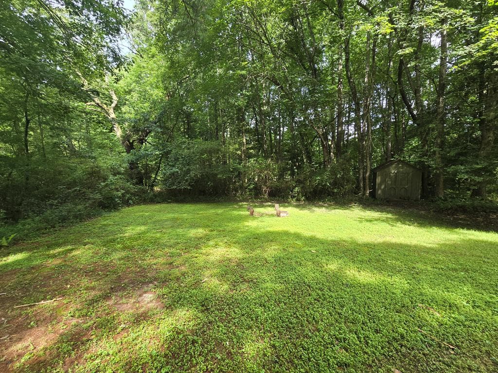 641 Cold Branch Road, Hayesville NC 28904 - Photo