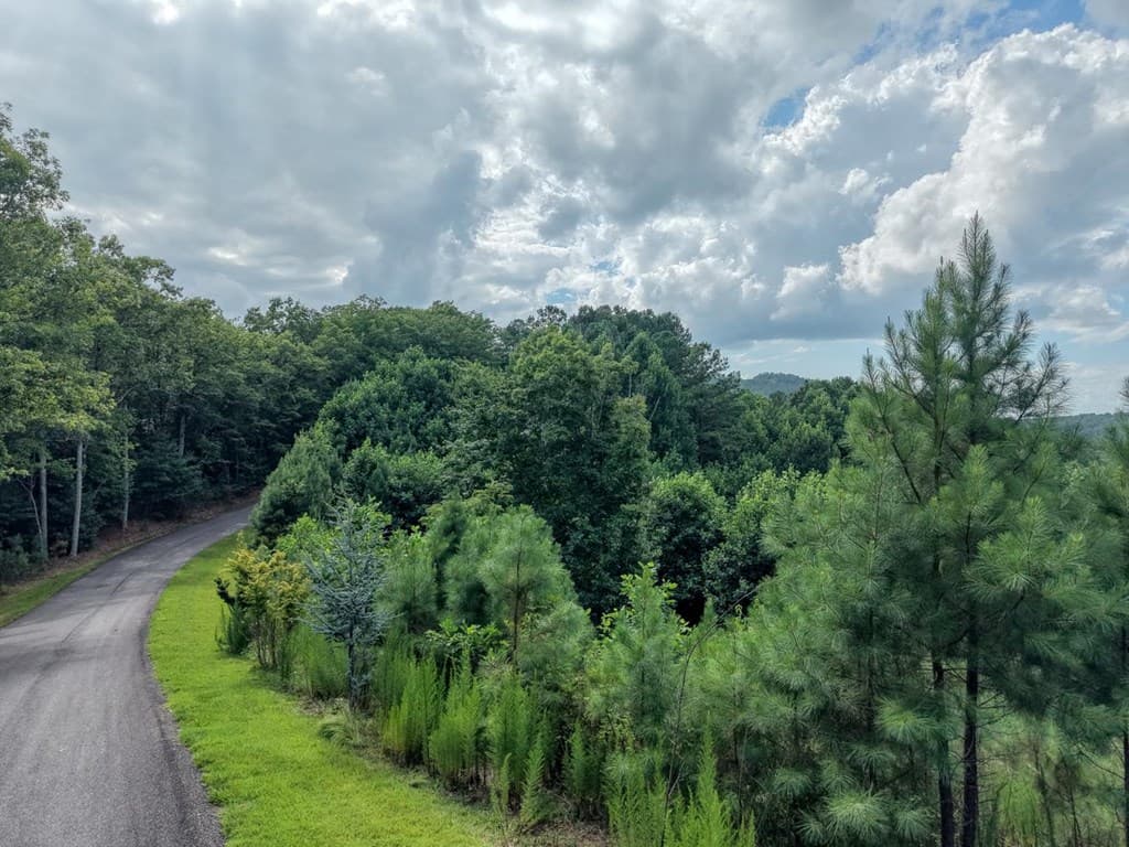 Lot 83 Ridge Peak View, Blairsville GA 30512 - Photo