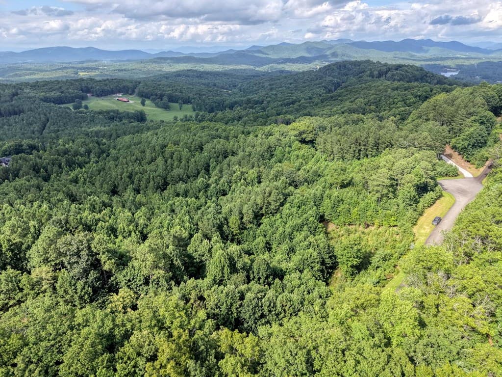 Lot 83 Ridge Peak View, Blairsville GA 30512 - Photo