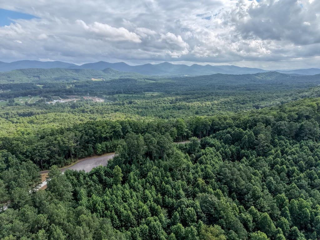 Lot 83 Ridge Peak View, Blairsville GA 30512 - Photo