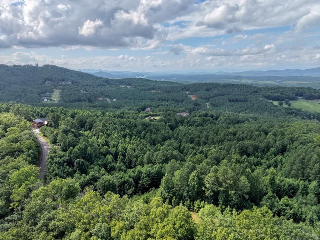 Lot 83 Ridge Peak View, Blairsville GA 30512 - Photo