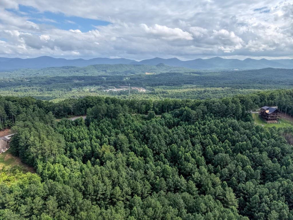 Lot 83 Ridge Peak View, Blairsville GA 30512 - Photo