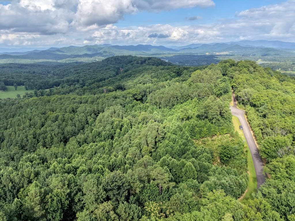 Lot 83 Ridge Peak View, Blairsville GA 30512 - Photo