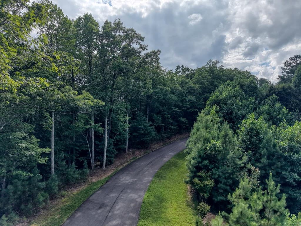 Lot 83 Ridge Peak View, Blairsville GA 30512 - Photo
