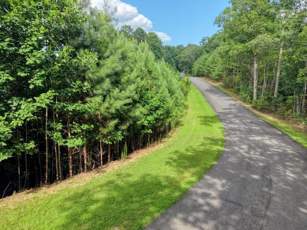 Lot 83 Ridge Peak View, Blairsville GA 30512 - Photo