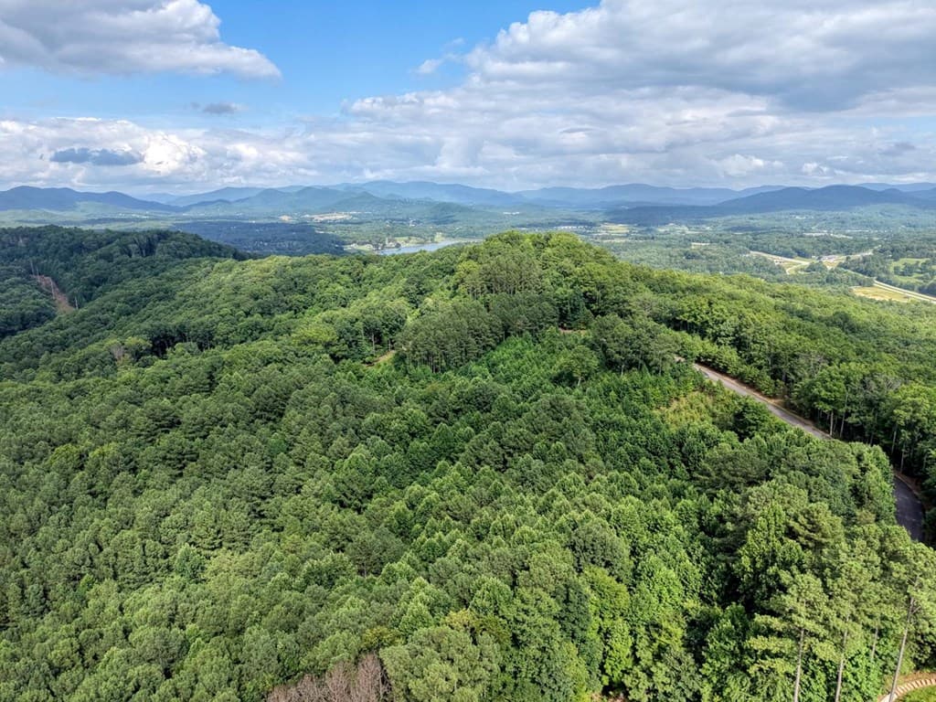 Lot 83 Ridge Peak View, Blairsville GA 30512 - Photo