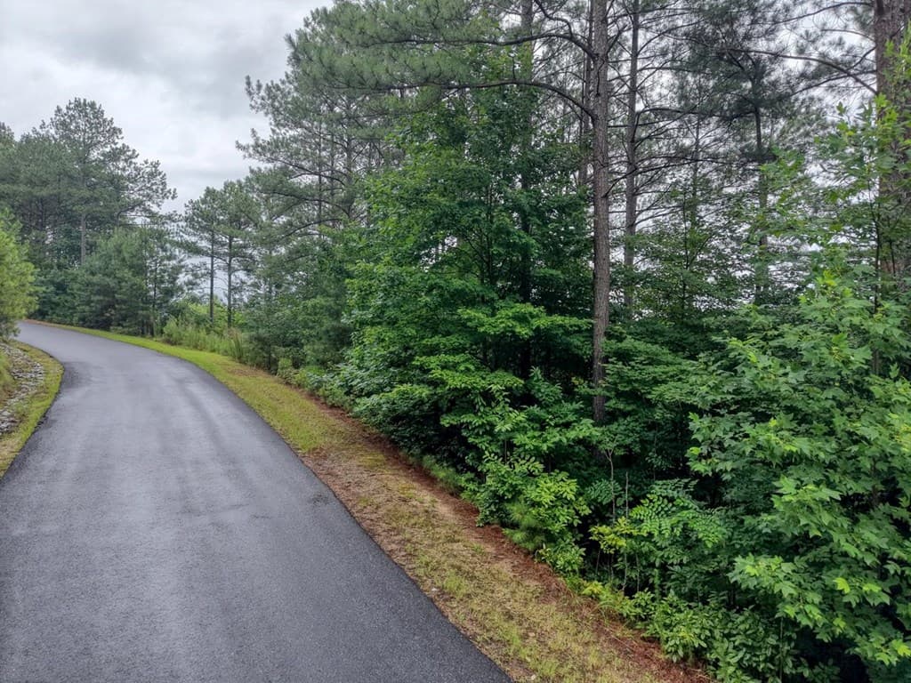 LOT 34 Mile High Lane, Blairsville GA 30512 - Photo