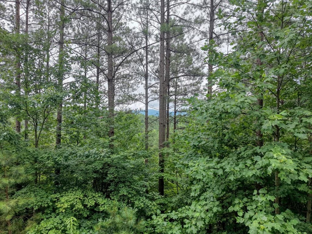 LOT 34 Mile High Lane, Blairsville GA 30512 - Photo