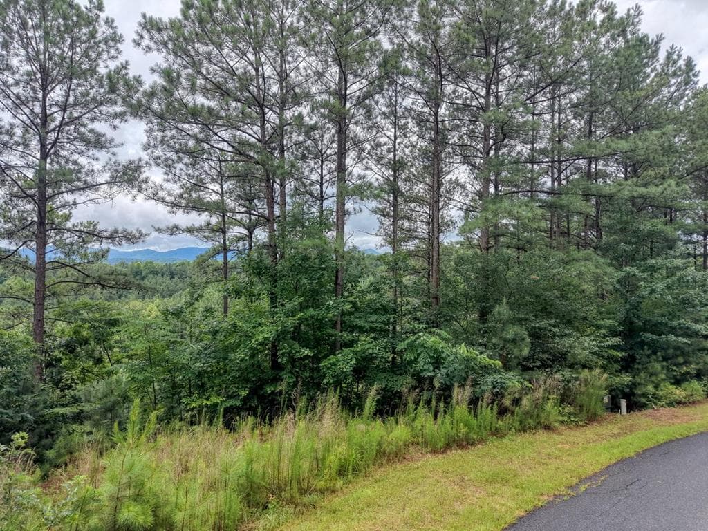 LOT 34 Mile High Lane, Blairsville GA 30512 - Primary photo