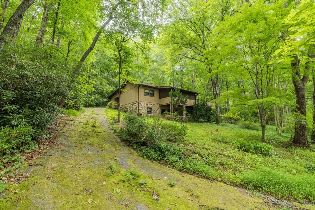 65 Eagle Chase Circle, Dillard GA 30537 - Photo