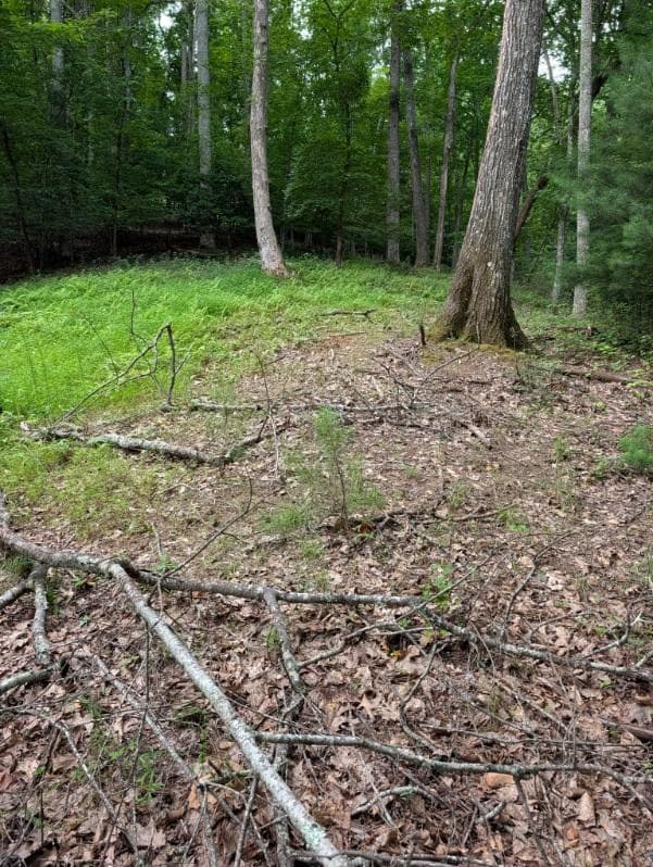 190 Valley Crest Drive, Blairsville GA 30512 - Photo