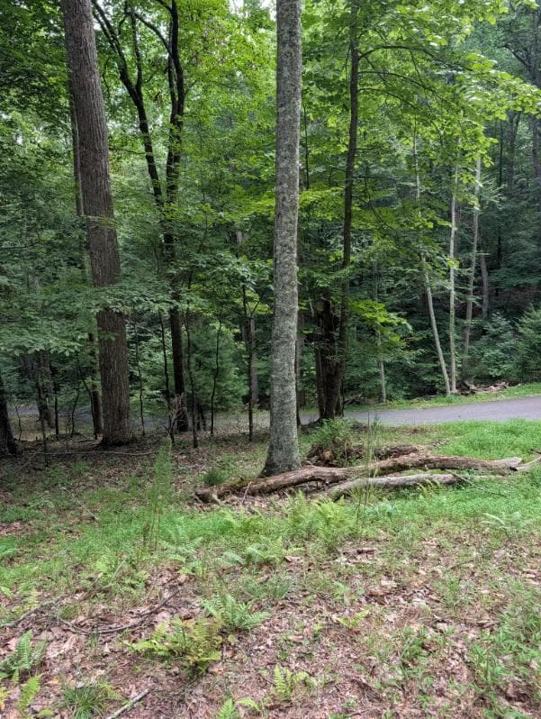 190 Valley Crest Drive, Blairsville GA 30512 - Primary photo
