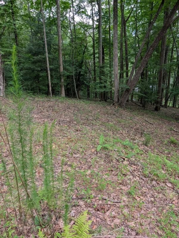 190 Valley Crest Drive, Blairsville GA 30512 - Photo