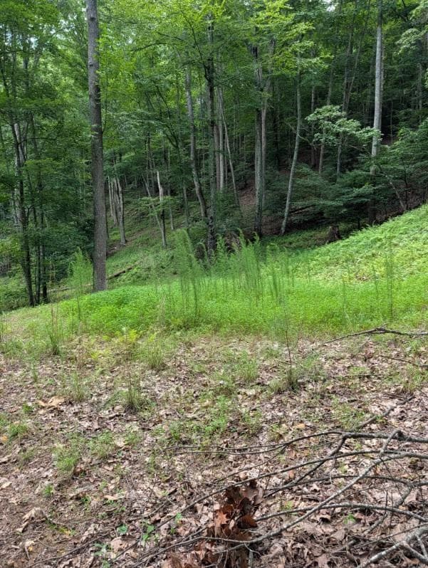 190 Valley Crest Drive, Blairsville GA 30512 - Photo