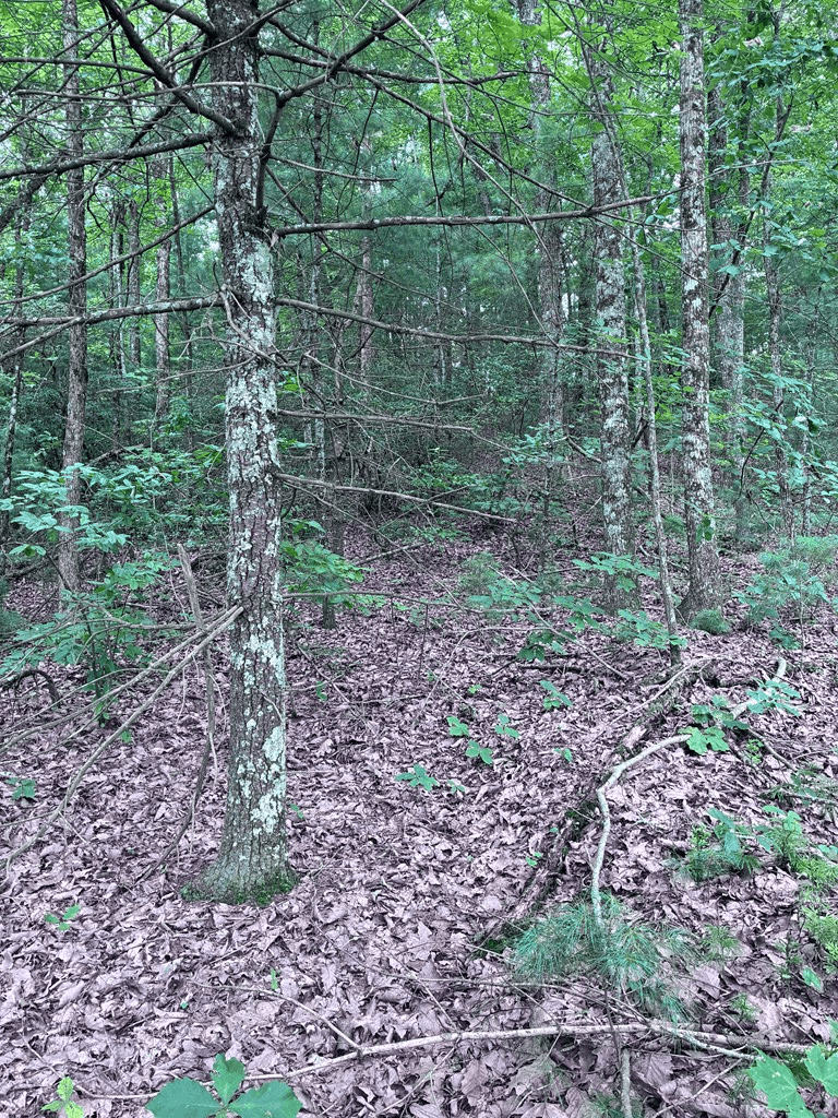 829 Morton Drive, Ellijay GA 30540 - Photo