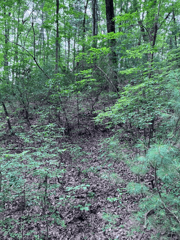 829 Morton Drive, Ellijay GA 30540 - Photo