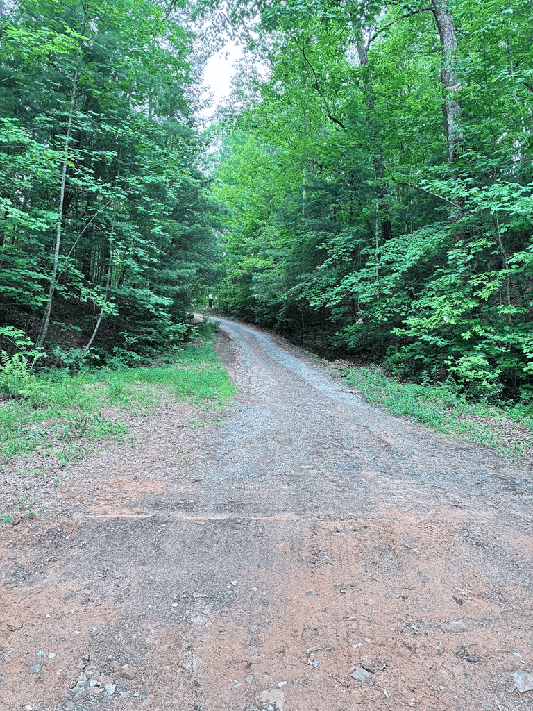 829 Morton Drive, Ellijay GA 30540 - Photo