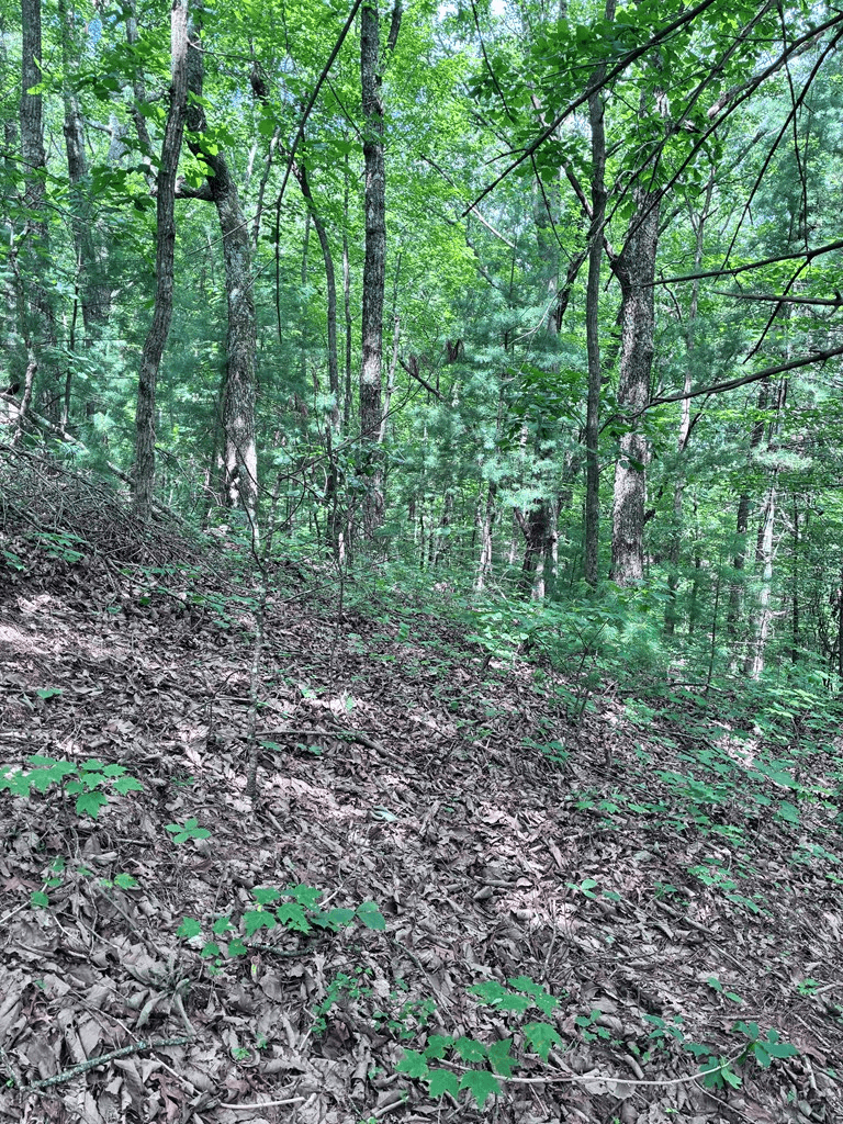 829 Morton Drive, Ellijay GA 30540 - Photo