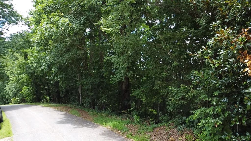 27 Harris Ridge Road, Young Harris GA 30582 - Photo