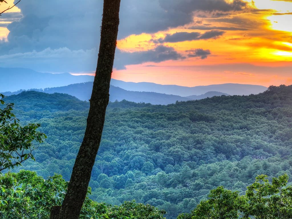 Lot 2 Aubery Ridge, Morganton GA 30560 - Photo
