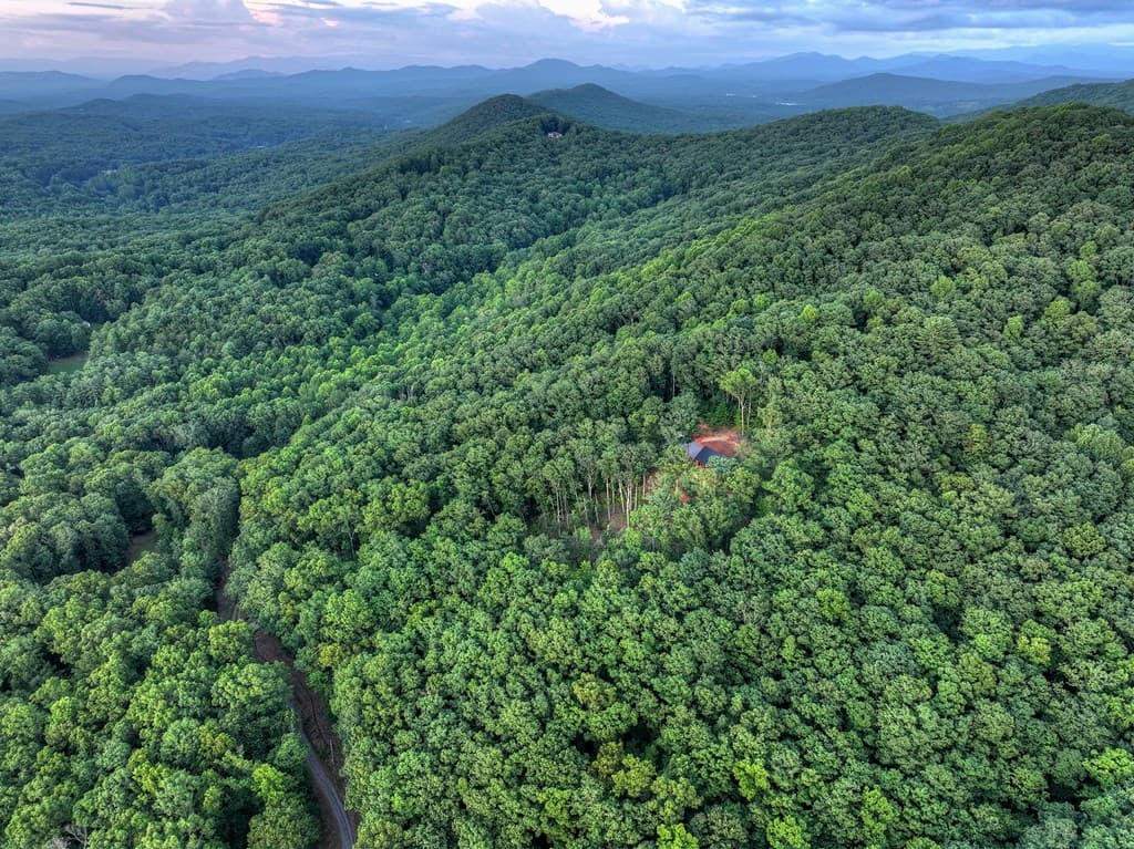 Lot 2 Aubery Ridge, Morganton GA 30560 - Photo