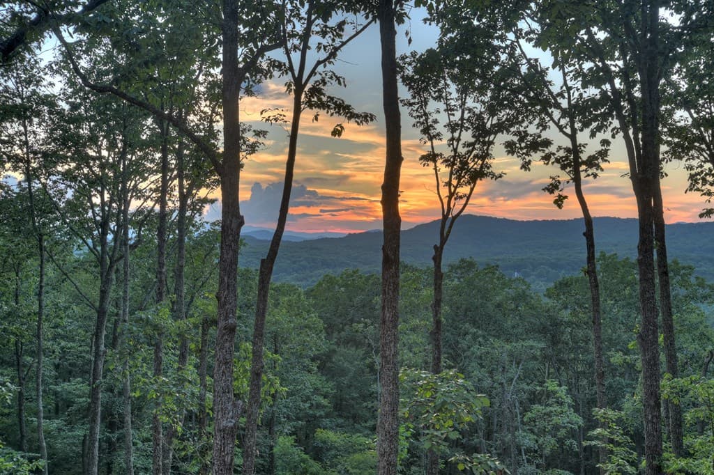 Lot 2 Aubery Ridge, Morganton GA 30560 - Photo