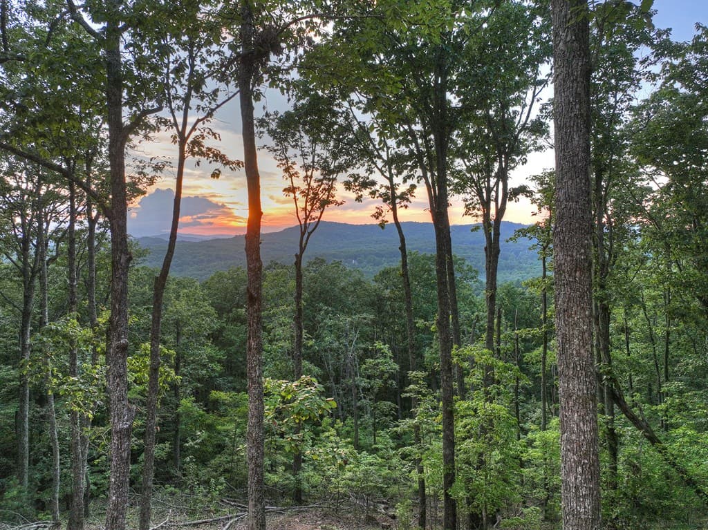 Lot 2 Aubery Ridge, Morganton GA 30560 - Photo
