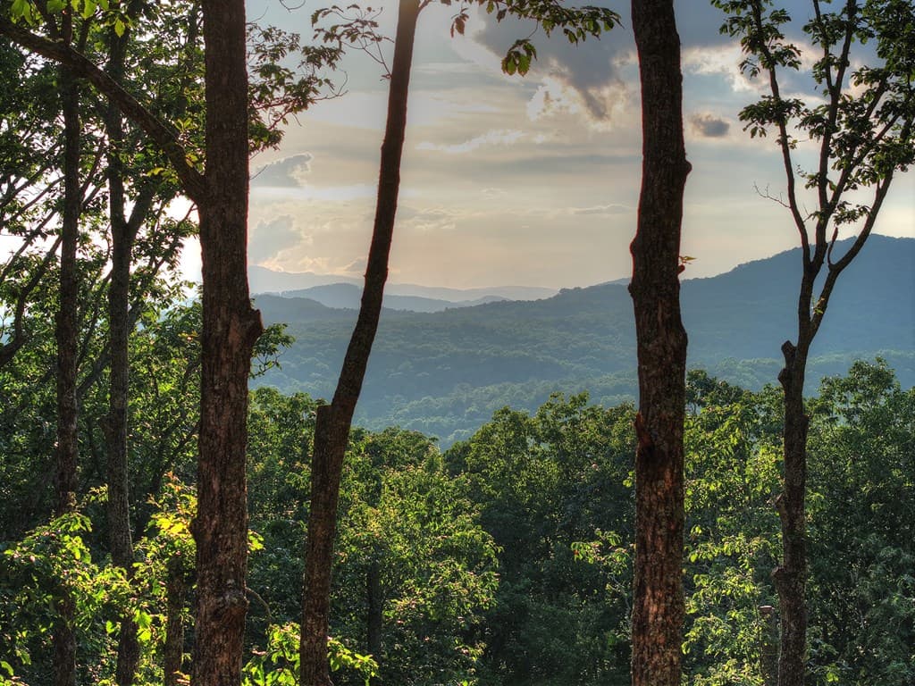 Lot 2 Aubery Ridge, Morganton GA 30560 - Photo