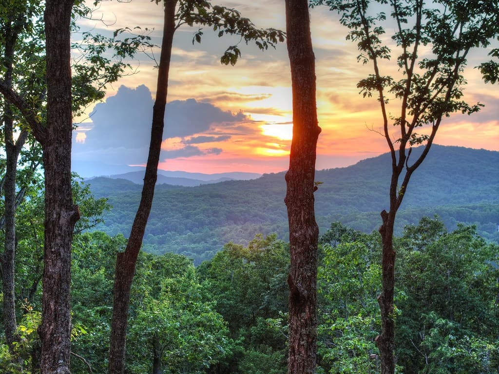 Lot 2 Aubery Ridge, Morganton GA 30560 - Photo