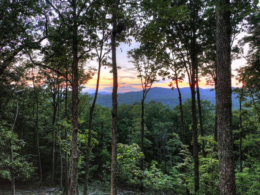 Lot 2 Aubery Ridge, Morganton GA 30560 - Photo